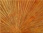 Preview: Bilddetail Farbe mit Struktur
