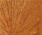 Preview: Bilddetail Farbe mit Struktur
