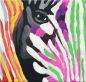 Preview: Bild Detail