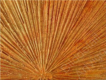 Bilddetail Farbe mit Struktur
