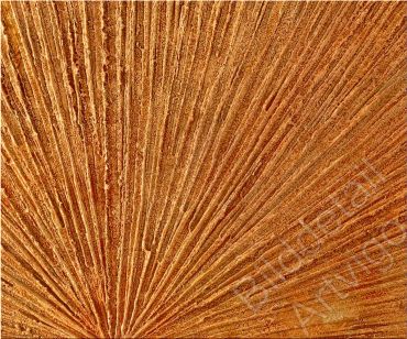 Preview: Bilddetail Farbe mit Struktur